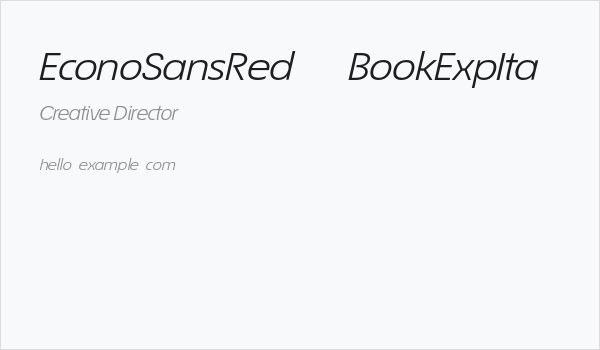 EconoSansRed-54BookExpIta Business Card