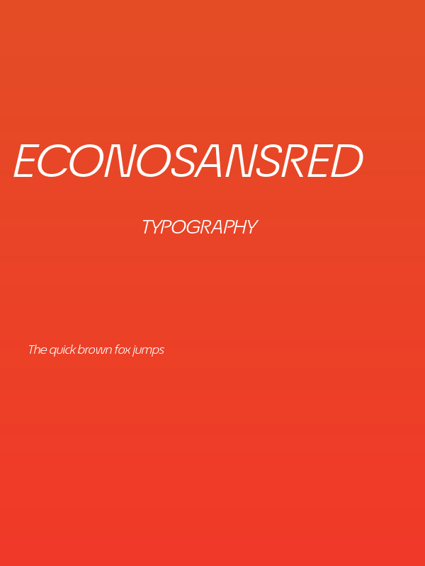 EconoSansRed-54BookExpIta Poster