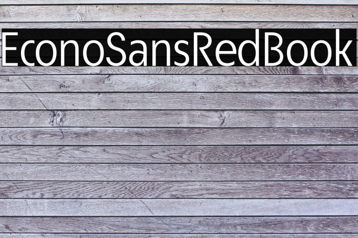 EconoSansRed-55Book Example 1