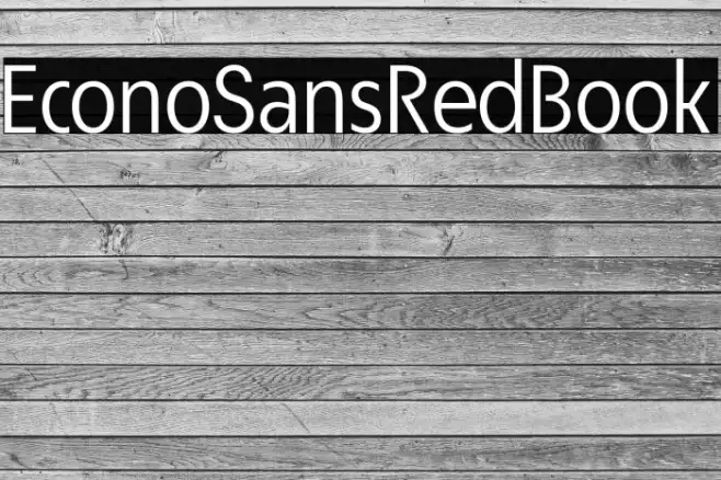 EconoSansRed-55Book Example 1