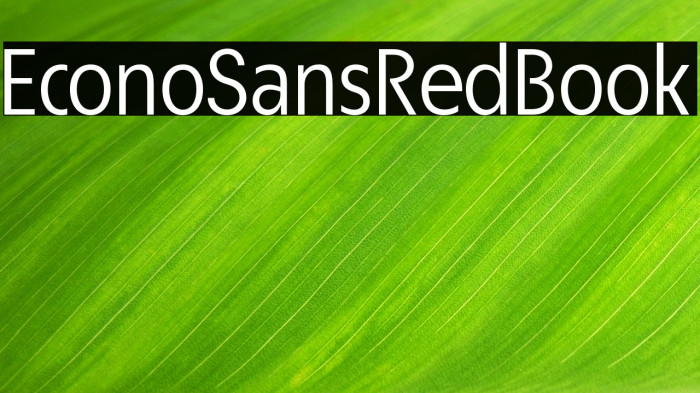 EconoSansRed-55Book Example 2