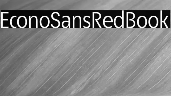 EconoSansRed-55Book Example 2