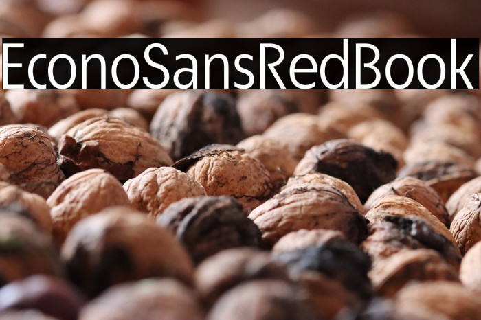 EconoSansRed-55Book Example 3
