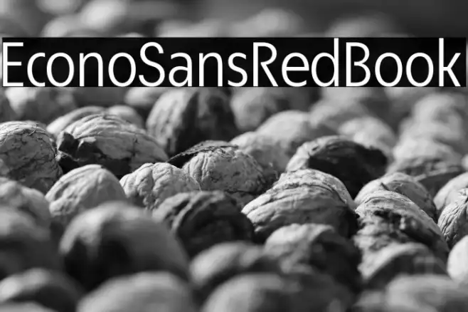 EconoSansRed-55Book Example 3