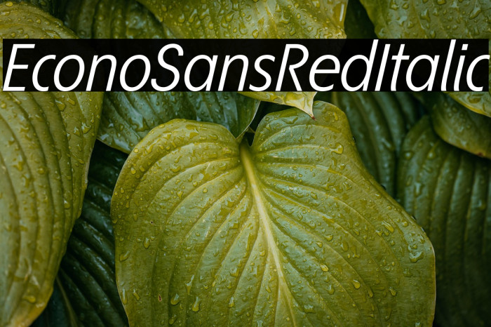 EconoSansRed-56Italic Example 1