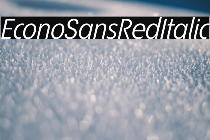 EconoSansRed-56Italic Example 2