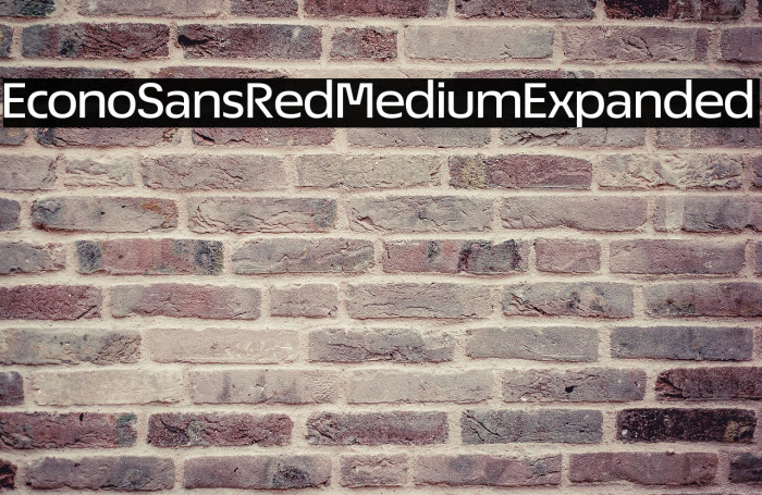 EconoSansRed-63MediumExpanded Example 1