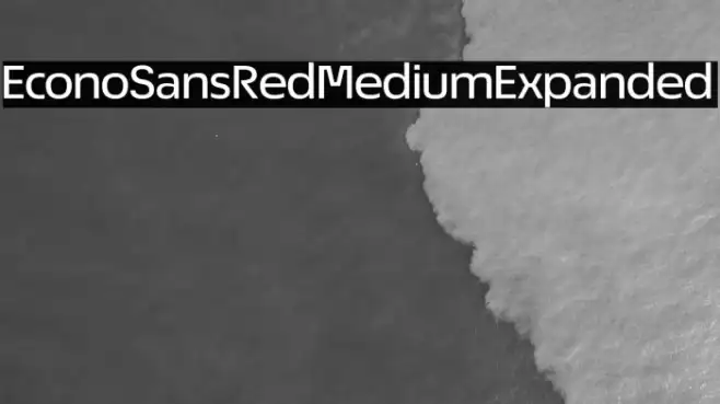 EconoSansRed-63MediumExpanded Example 2