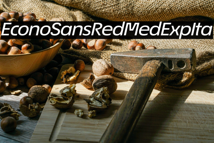 EconoSansRed-64MedExpIta Example 1