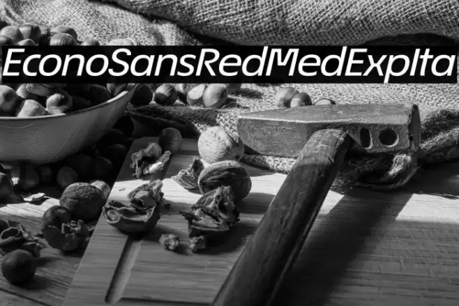 EconoSansRed-64MedExpIta Font examples