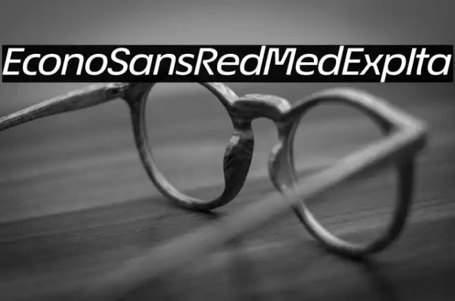 EconoSansRed-64MedExpIta Font examples