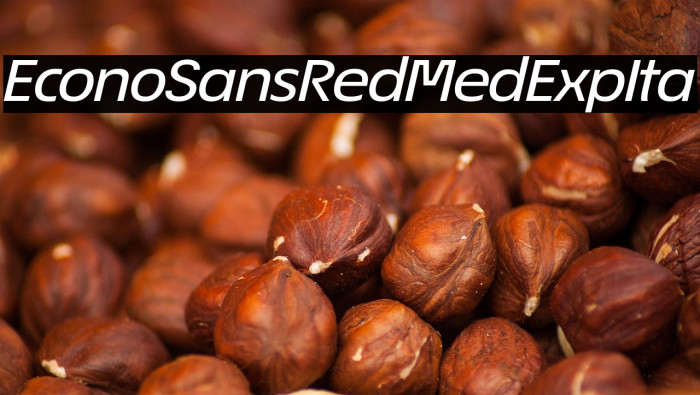 EconoSansRed-64MedExpIta Example 3