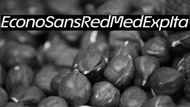 EconoSansRed-64MedExpIta Font examples