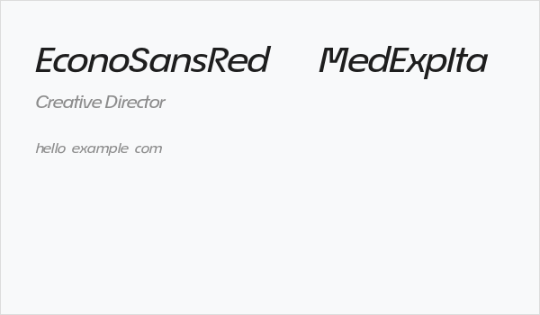 EconoSansRed-64MedExpIta Business Card