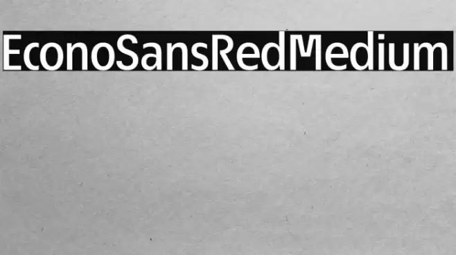 EconoSansRed-65Medium Font examples