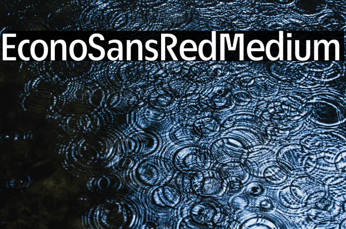 EconoSansRed-65Medium Example 2