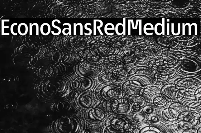 EconoSansRed-65Medium Font examples