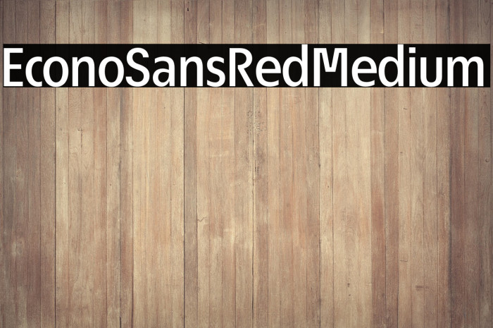 EconoSansRed-65Medium Example 3