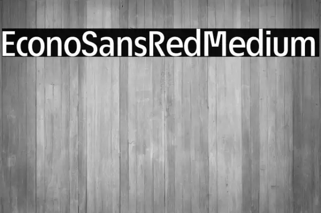 EconoSansRed-65Medium Font examples