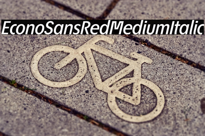 EconoSansRed-66MediumItalic Example 2