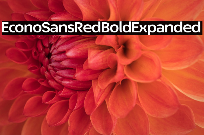 EconoSansRed-73BoldExpanded Example 1