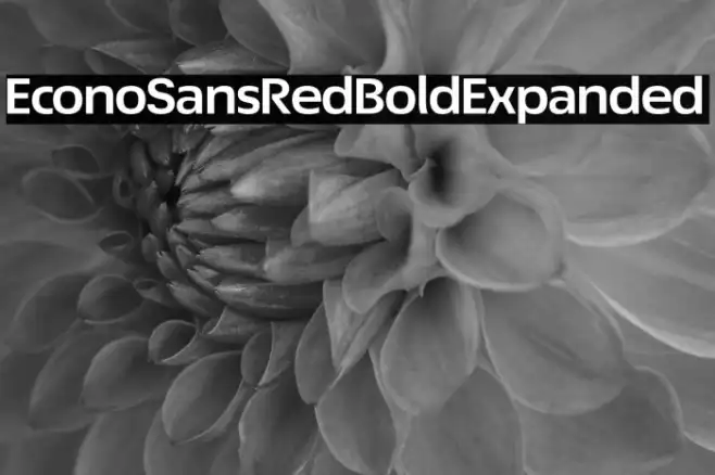 EconoSansRed-73BoldExpanded Example 1