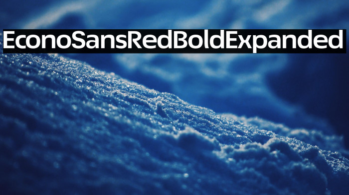 EconoSansRed-73BoldExpanded Example 3