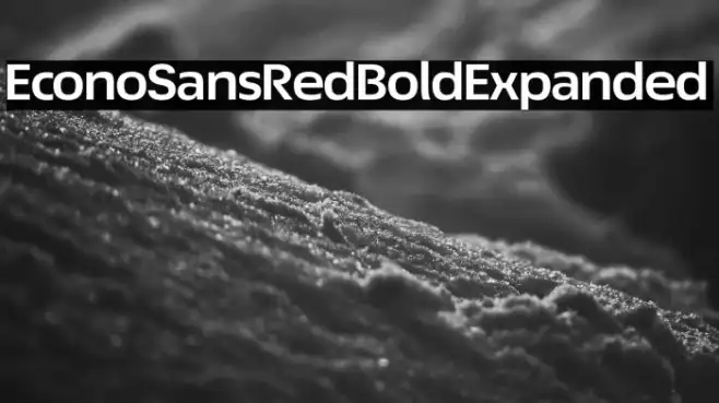 EconoSansRed-73BoldExpanded Example 3