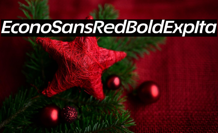 EconoSansRed-74BoldExpIta Example 3