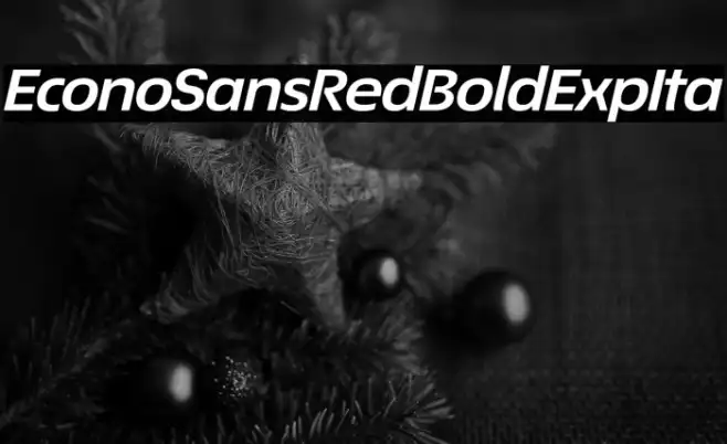 EconoSansRed-74BoldExpIta Example 3