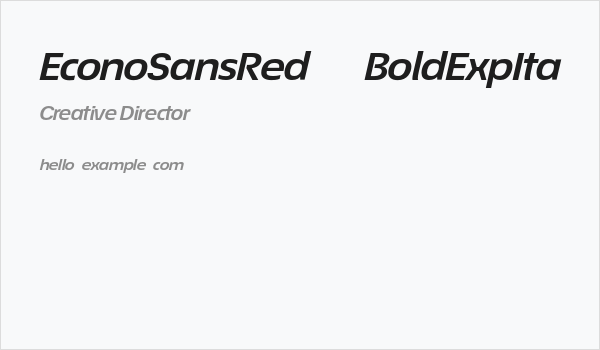 EconoSansRed-74BoldExpIta Business Card
