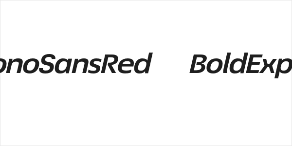 EconoSansRed-74BoldExpIta Logo