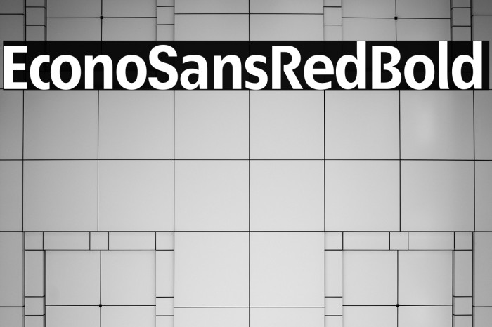 EconoSansRed-75Bold Example 1