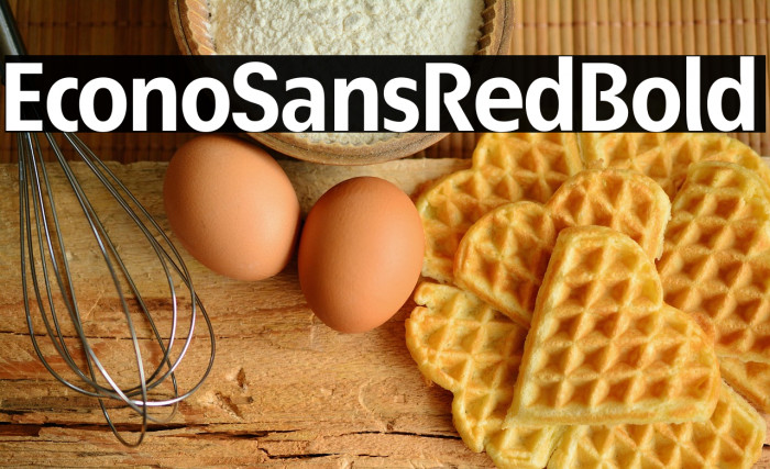 EconoSansRed-75Bold Example 2