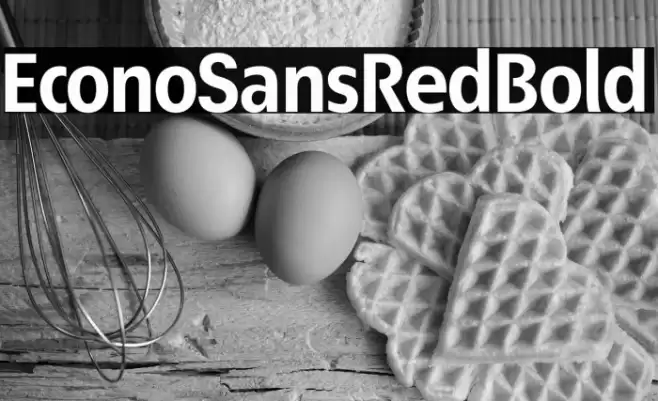 EconoSansRed-75Bold Font examples