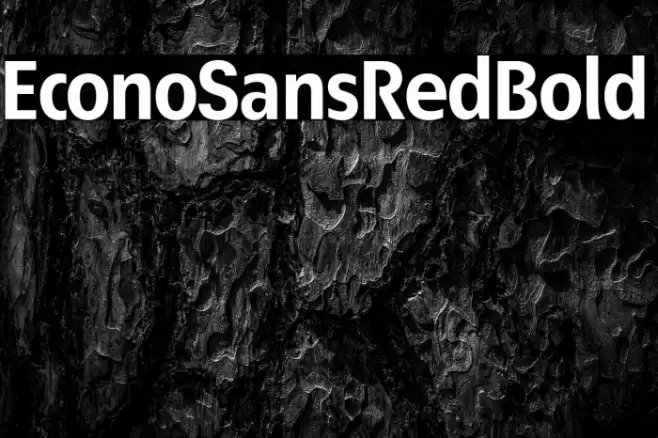 EconoSansRed-75Bold Font examples