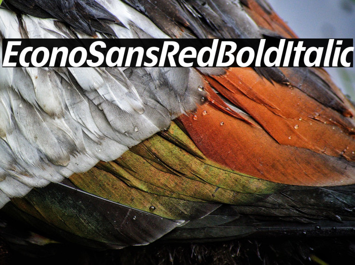 EconoSansRed-76BoldItalic Example 2