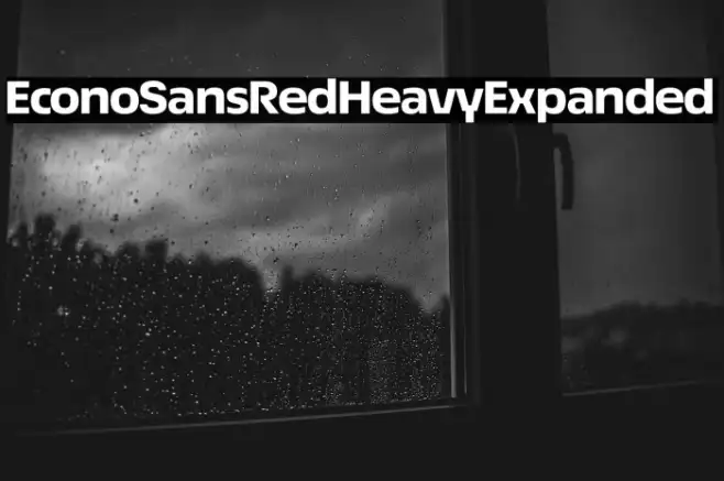 EconoSansRed-83HeavyExpanded Example 1