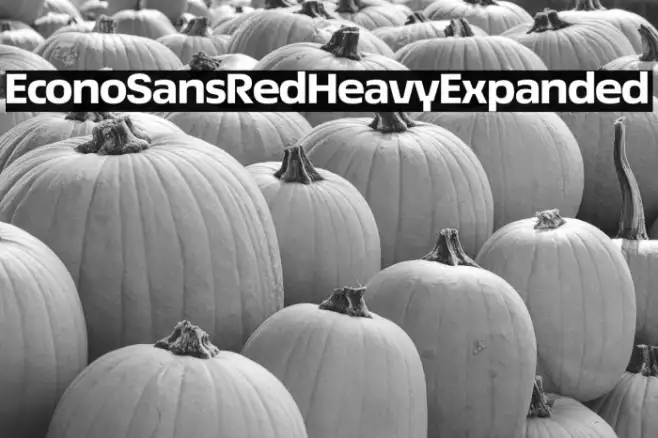 EconoSansRed-83HeavyExpanded Example 3