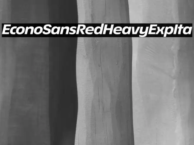 EconoSansRed-84HeavyExpIta Example 1