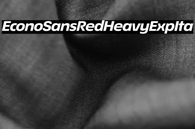 EconoSansRed-84HeavyExpIta Example 2