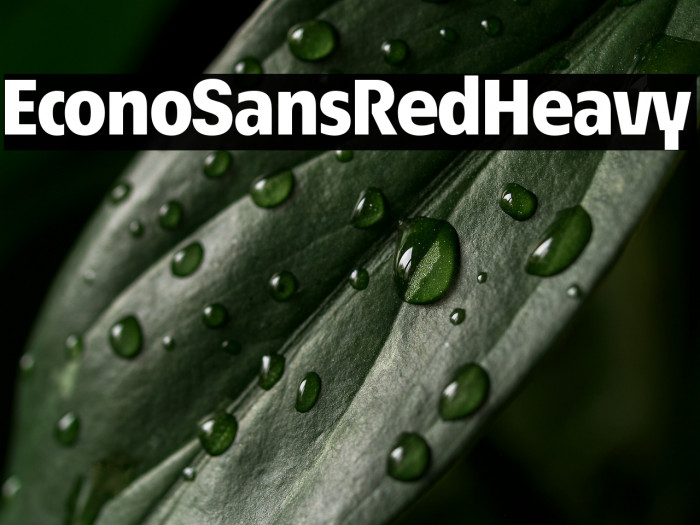 EconoSansRed-85Heavy Example 1