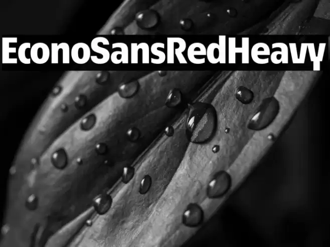 EconoSansRed-85Heavy Font examples
