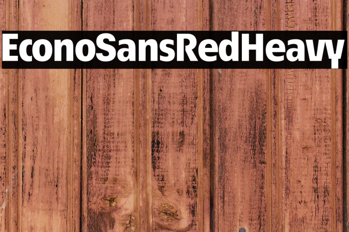 EconoSansRed-85Heavy Example 2