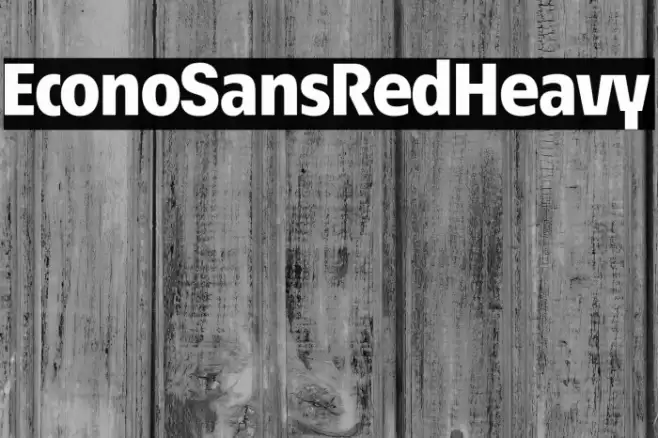 EconoSansRed-85Heavy Font examples