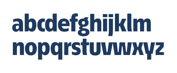 EconoSansRed-85Heavy Lowercase