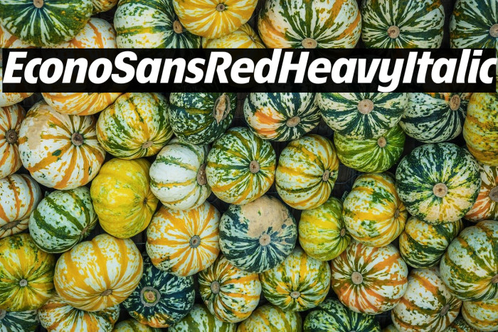 EconoSansRed-86HeavyItalic Example 1