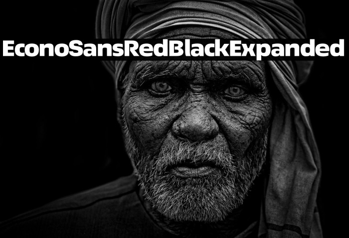 EconoSansRed-93BlackExpanded Example 1