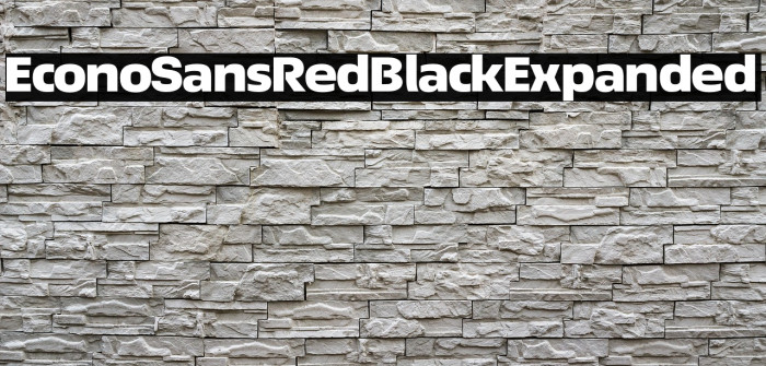 EconoSansRed-93BlackExpanded Example 2