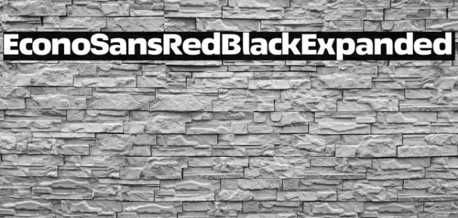 EconoSansRed-93BlackExpanded Example 2